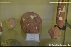 Iordania00184