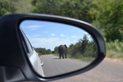 Kruger00703