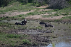 Kruger00705