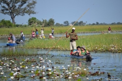 Okavango00307