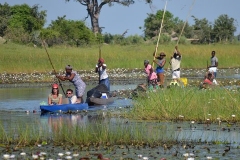 Okavango00308