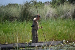 Okavango00444