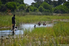 Okavango00467