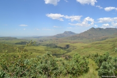 AfricaS00828