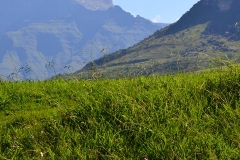 AfricaS00949