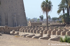 Luxor-East-Bank4