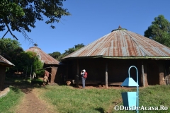 Lacul-Tana00095