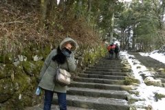 Drumul spre Nikko