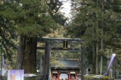 Drumul spre Nikko