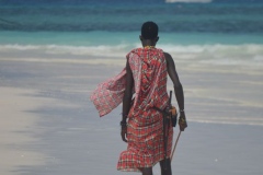 zanzibar124