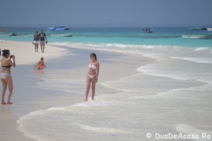 zanzibar139
