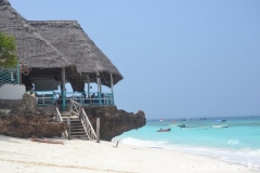 zanzibar154