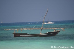 zanzibar59