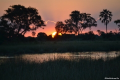 Okavango00036
