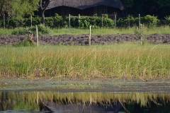 Okavango00172