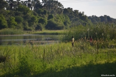 Okavango00205