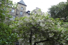 Edinburgh00411