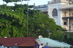 Zanzibar00160