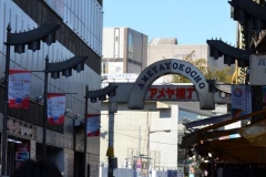 Zona Ueno