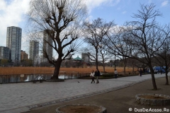 Zona Ueno