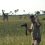 Plimbare cu mokoro și pe jos în Delta Okavango (2)