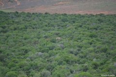 AfricaS00781