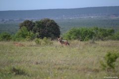 AfricaS00340