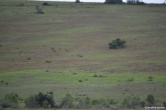 AfricaS00563