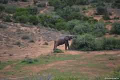 AfricaS00674
