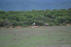 AfricaS00745