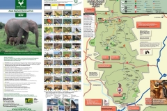 Addo100001