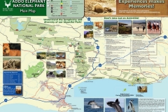 Addo100002