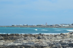 GardenRoute00262