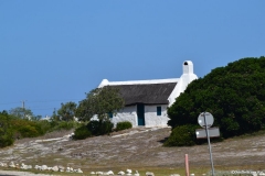 GardenRoute00329