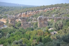 Turkiye00542