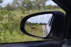 Kruger00512