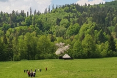 Bucovina00016