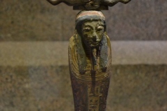 Aswan25