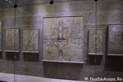Aswan31