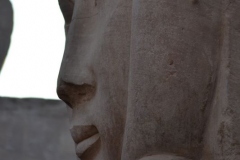 Aswan7