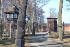 Polonia00210
