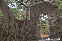 Gondar00196