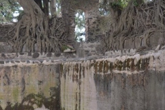 Gondar00202