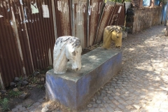 Gondar00383