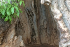 BotswanaI00097