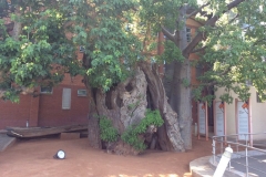 BotswanaI00106