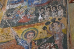 tigray00160