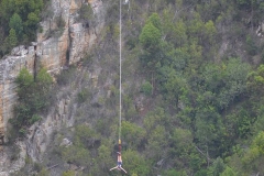 GardenRoute00098