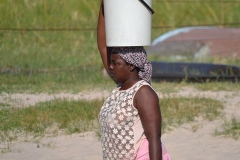 Okavango00284