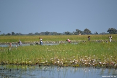 Okavango00298